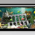 Colorful Tropical Fish Tank with Aquatic Plants Decorative Arch and Starfish