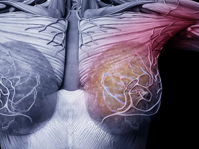 Advanced Medical Diagnostic Device Visualizing Human Muscle Vascular Structures with Highlighted Areas 3d model