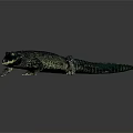 Realistic 3D Rendered Crocodile With Scaly Skin Lying On Dark Surface