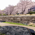 Scenic Park Landscape With Neatly Arranged Trees Large Rocks Green Lawns And Paved Paths