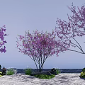 Purple Flowering Trees In Garden Landscape With Rocks And Green Grass