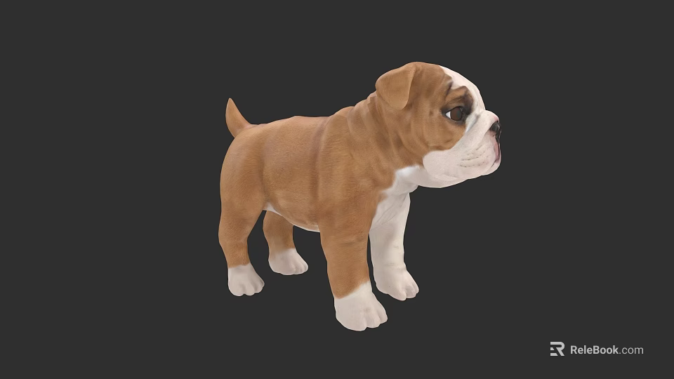 Brown and White Bulldog Puppy Figurine with Realistic Details and Standing Pose 3d model 