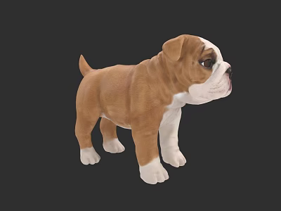 Brown and White Bulldog Puppy Figurine with Realistic Details and Standing Pose 3d model