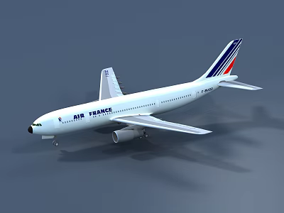 Air France Commercial Airliner With White Body And Red White Blue Tail Design 3d model