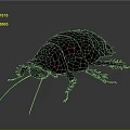 Dark Metallic Cockroach Close Up View With Shiny Exoskeleton And Gray Background 3d model