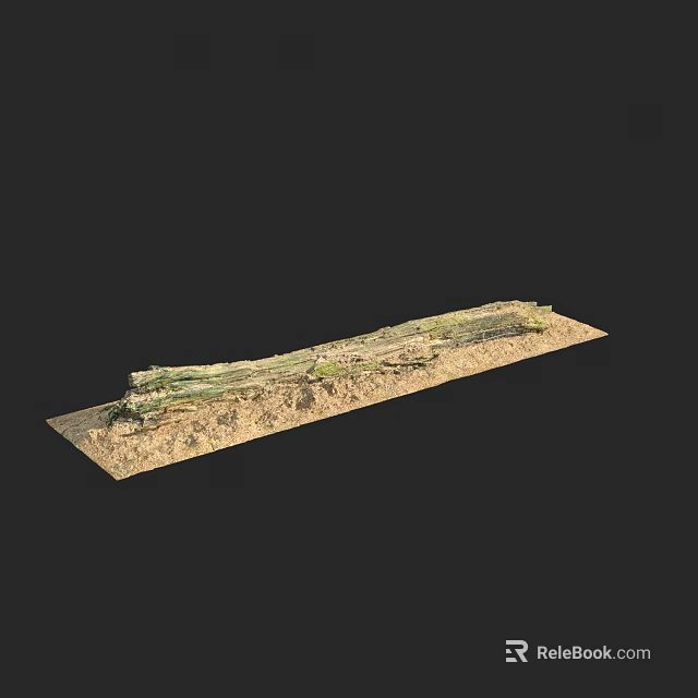 Lush Green Vine Growing on Brown Soil in Natural Outdoor Setting 3d model 