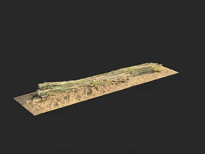 Lush Green Vine Growing on Brown Soil in Natural Outdoor Setting 3d model