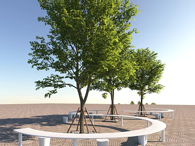 Lush Trees With Circular White Benches On Paved Ground Under Clear Blue Sky 3d model