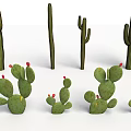 Green Cactus Plants With Tall Stems Flat Pads and Red Fruits in Various Sizes