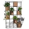 Decorative Garden Shelf With Multilayer Wooden Metal Frame And Green Plants Hanging Vines