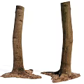 Natural Stone Wood Tree Trunks With Intact Roots And Rustic Texture 3d model