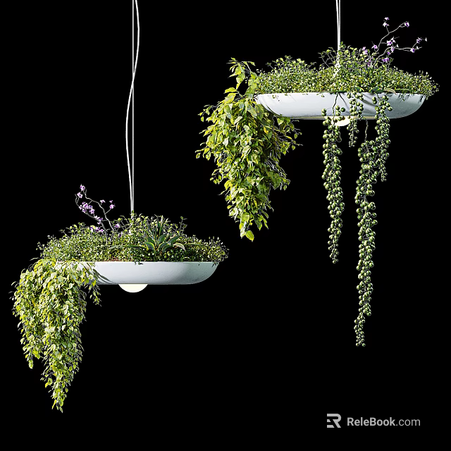 Hanging Bonsai Potted Plants With Lush Green Foliage And Trailing Branches 3d model 