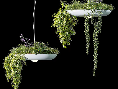 Hanging Bonsai Potted Plants With Lush Green Foliage And Trailing Branches 3d model