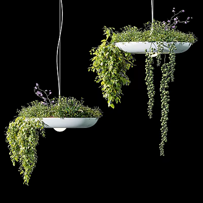 Hanging Bonsai Potted Plants With Lush Green Foliage And Trailing Branches 3d model