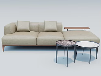 Modern chaise sofa combination 3d model