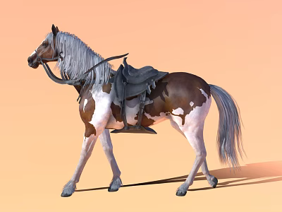 Standing Brown And White Horse With Gray Mane Tail Saddle Bridle On Orange Background 3d model
