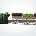 Decorative Flower Planters With Metal Frame And Vibrant Green Purple Plants