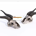 Ornamental Decor Set Featuring Long Horned Animal Skulls for Home