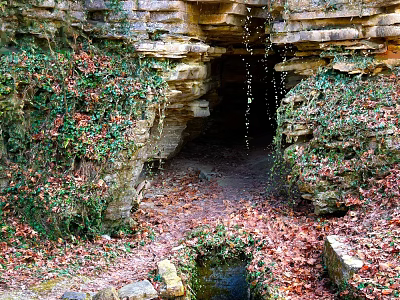 Natural Scenery Featuring Rocky Cave Entrance With Vines Fallen Leaves And Small Stream 3d model