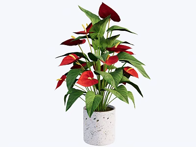Beautiful Potted Plant With Red Flowers Green Leaves In White Spotted Pot 3d model