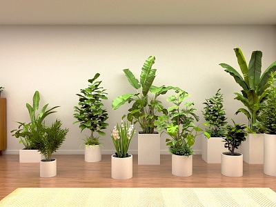 Modern Potted Plants Potted Plants Green Plants Flowers Plants Characters Animals Plants 3d model