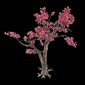 Arbor With Pink Blooming Blossoms And Elegant Textured Branches 3d model