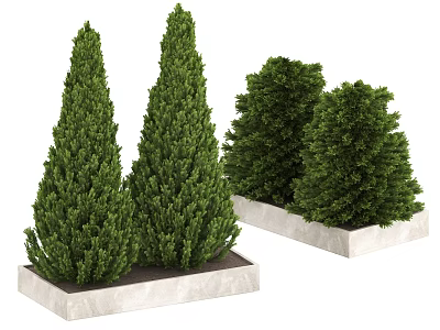 Green Conical and Rounded Outdoor Shrubs Planted in Square Stone Planters 3d model