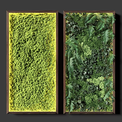 Living Plant Wall Design With Yellow Moss And Mixed Green Ferns Interior Decor 3d model