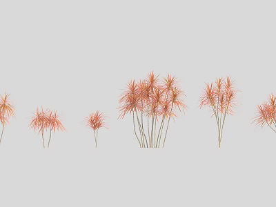 Arbor Trees With Red Leaves And Various Heights For Decorative Landscaping 3d model