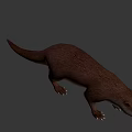 Realistic Brown Otter 3D Model With Detailed Fur And Natural Posture