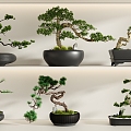 New Chinese potted plant combination 3d model