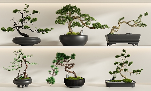 New Chinese potted plant combination 3d model