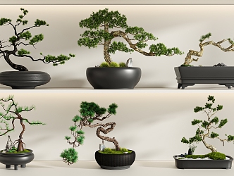 New Chinese potted plant combination 3d model