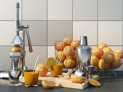 Juicer model