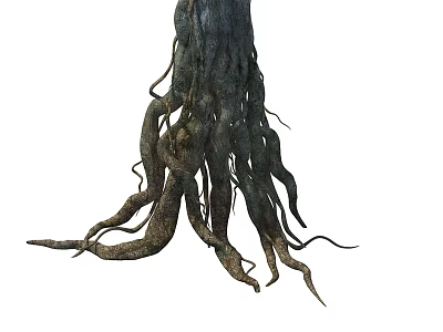 modern tree root big tree root 3d model