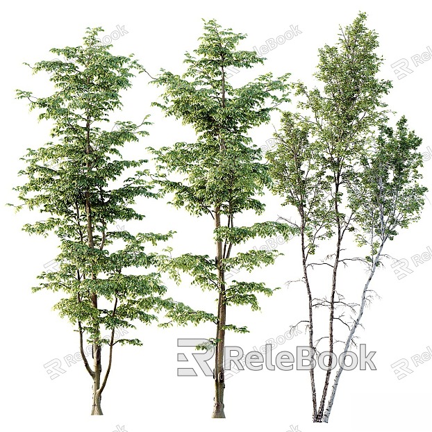 trees plants landscape trees model