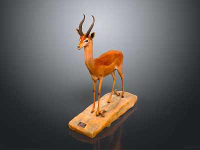 Antelope Taxidermy Mount Displayed On Wooden Base With Small Plaque 3d model