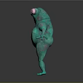 Frog Poison Frog Game Frog Reptile Cold Blooded Animal Reptile 3d model