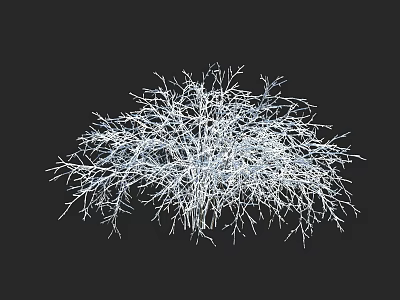 Abstract Tree Branch Network Featuring Intricate White Twigs On Black Background 3d model