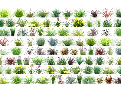 Various Types of Colorful Garden Flowers and Grasses with Diverse Shapes 3d model
