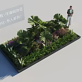 Roadside Facilities Landscaping With Large Leaf Plants Purple Flowers And Green Grass
