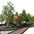 Diverse Plant Combination with Mixed Trees and Pink Purple Flowers in Garden Landscape Pathway