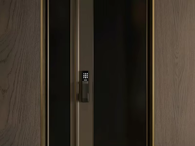 Modern Security Door With Electronic Lock And Wooden Side Panels 3d model