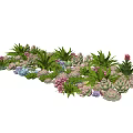 Diverse Succulents with Green Foliage and Colorful Pink Purple Flowers in Garden