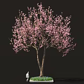 Sakura Inspired Food Display With Pink Blossom Tree And Green Grass
