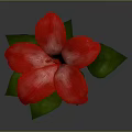 Vibrant Red Flower with Lush Green Leaves Isolated on Grey Background