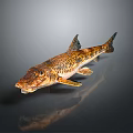Household Decorative Fish Model 3D Rendered With Yellow Black Spots Gray Gradient Background And Reflection 3d model