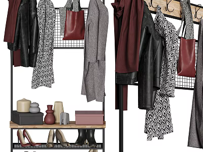 Multifunctional Shoe Cabinet with Hanging Coats Scarves Bags and Decorative Items 3d model
