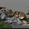 Traditional Japanese Dry Landscape Garden With Raked Gravel Moss Covered Rocks And Shrubs