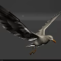 Beautiful White Seagull Flying With Spread Wings On Gradient Gray Background 3d model